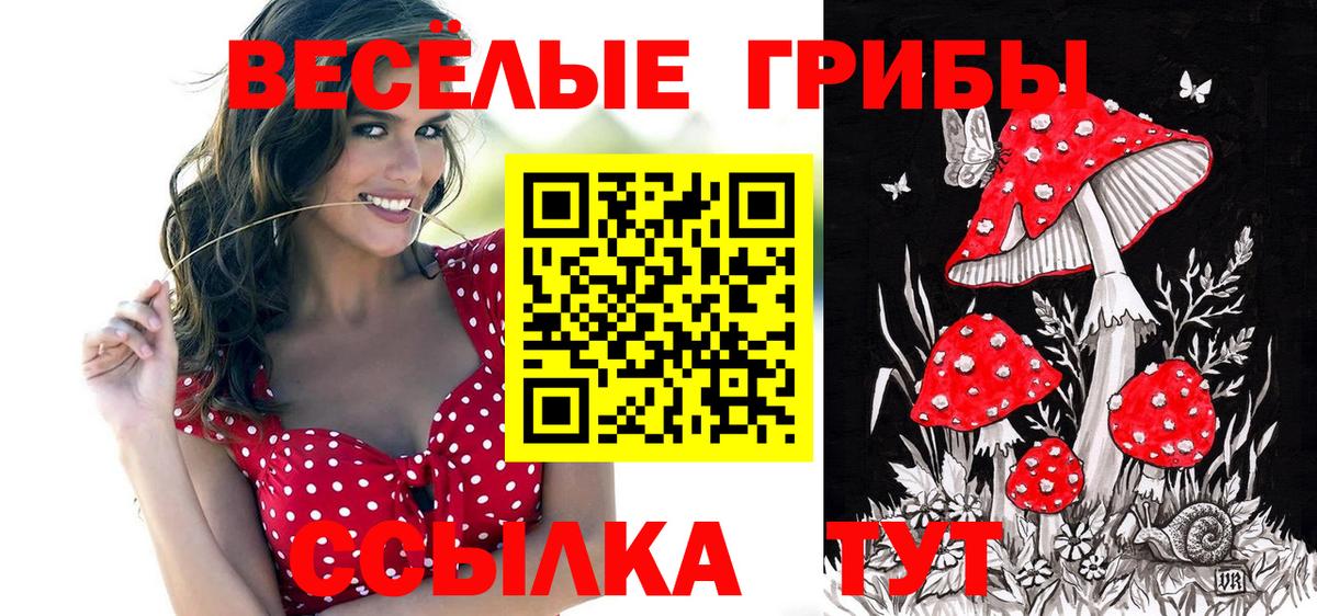 Галлюциногенные грибы GOLDEN TEACHER Владивосток