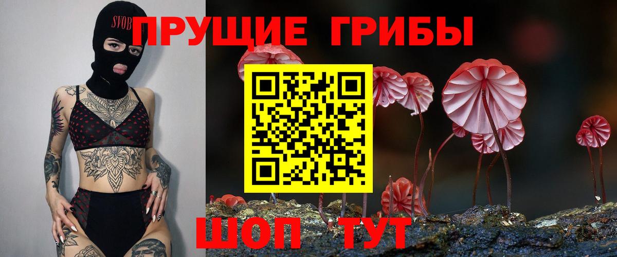 Владивосток  Галлюциногенные грибы Psilocybe  Вход с VPN 